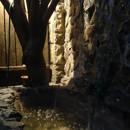 Casa Tony Si Alex בית הארחה