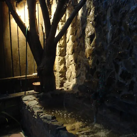 Pensiune Casa Tony Si Alex *